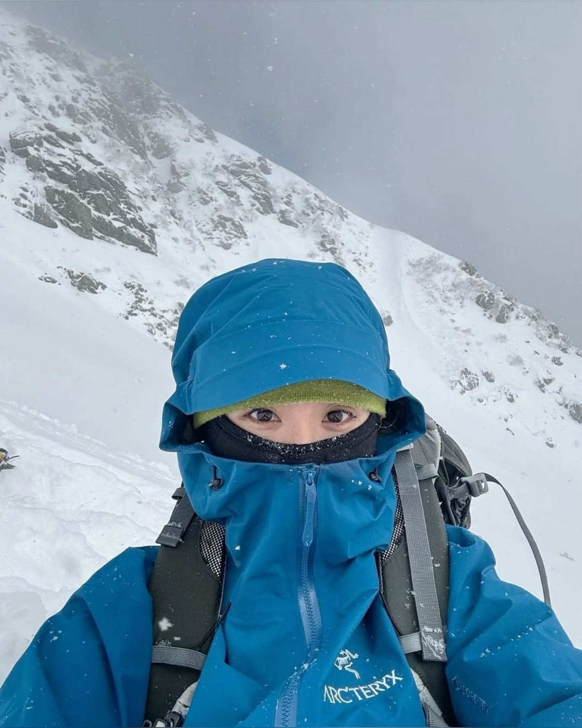 Arc'teryx Alpha AR